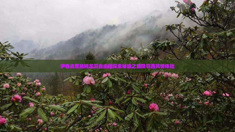 伊春去恩施腾龙洞自由团探索秘境之旅及鄂西风情体验