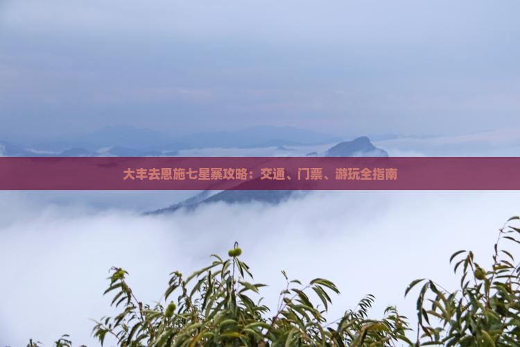 大丰去恩施七星寨攻略：交通、门票、游玩全指南