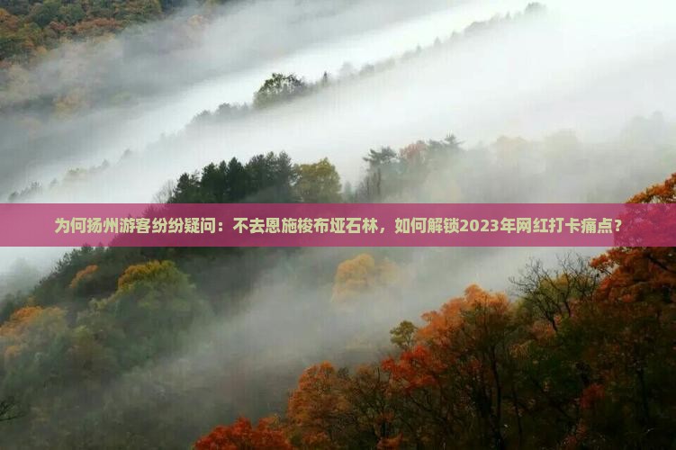 为何扬州游客纷纷疑问：不去恩施梭布垭石林，如何解锁2023年网红打卡痛点？