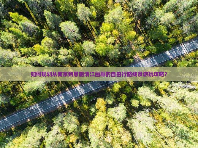 如何规划从南京到恩施清江画廊的自由行路线及游玩攻略？