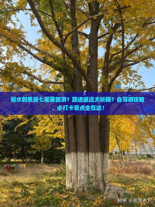 丽水到恩施七星寨旅游？路途遥远太折腾？自驾游攻略、必打卡景点全在这！