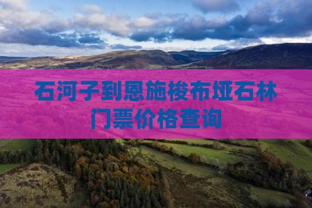 石河子到恩施梭布垭石林门票价格查询