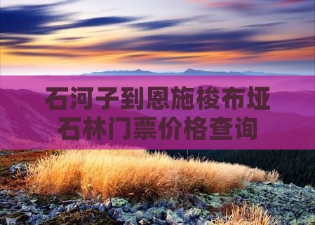 石河子到恩施梭布垭石林门票价格查询