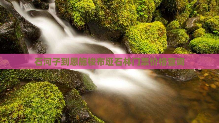 石河子到恩施梭布垭石林门票价格查询