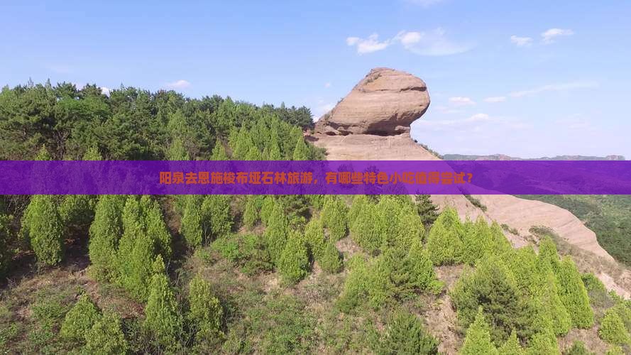 阳泉去恩施梭布垭石林旅游，有哪些特色小吃值得尝试？