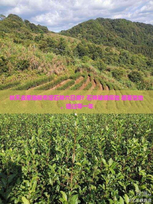 秋天去恩施梭布垭石林六日游？石林秘境探险+避暑胜地，错过等一年