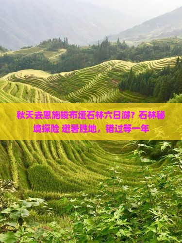 秋天去恩施梭布垭石林六日游？石林秘境探险+避暑胜地，错过等一年