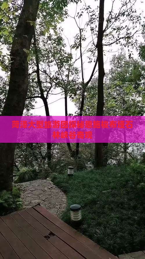 菏泽大型旅游团探秘恩施梭布垭石林峡谷奇观