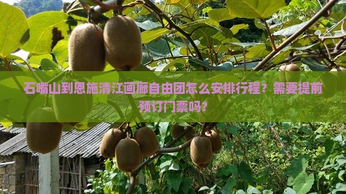石嘴山到恩施清江画廊自由团怎么安排行程？需要提前预订门票吗？