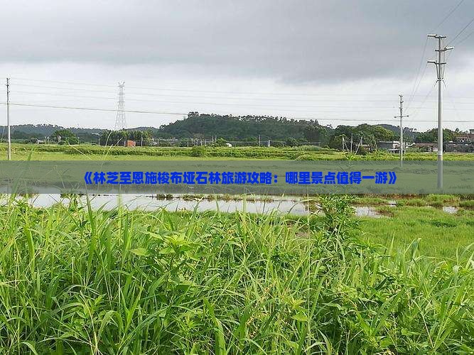 《林芝至恩施梭布垭石林旅游攻略：哪里景点值得一游》