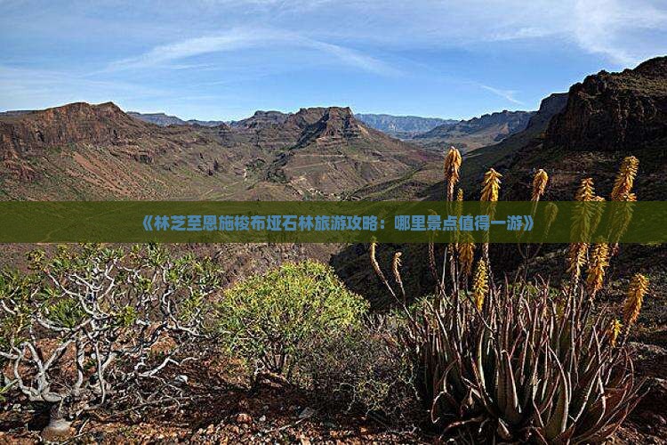 《林芝至恩施梭布垭石林旅游攻略：哪里景点值得一游》