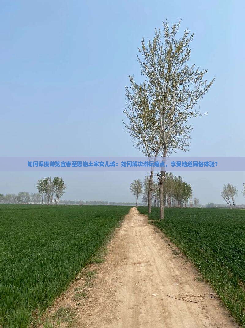 如何深度游览宜春至恩施土家女儿城：如何解决游玩痛点，享受地道民俗体验？