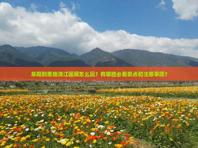 阜阳到恩施清江画廊怎么玩？有哪些必看景点和注意事项？