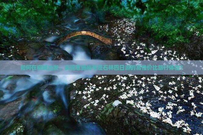 如何在桐城出发，实现恩施梭布垭石林四日游的高性价比旅行体验？