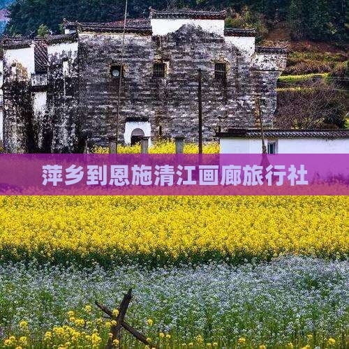 萍乡到恩施清江画廊旅行社