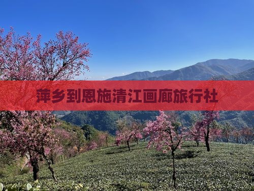 萍乡到恩施清江画廊旅行社