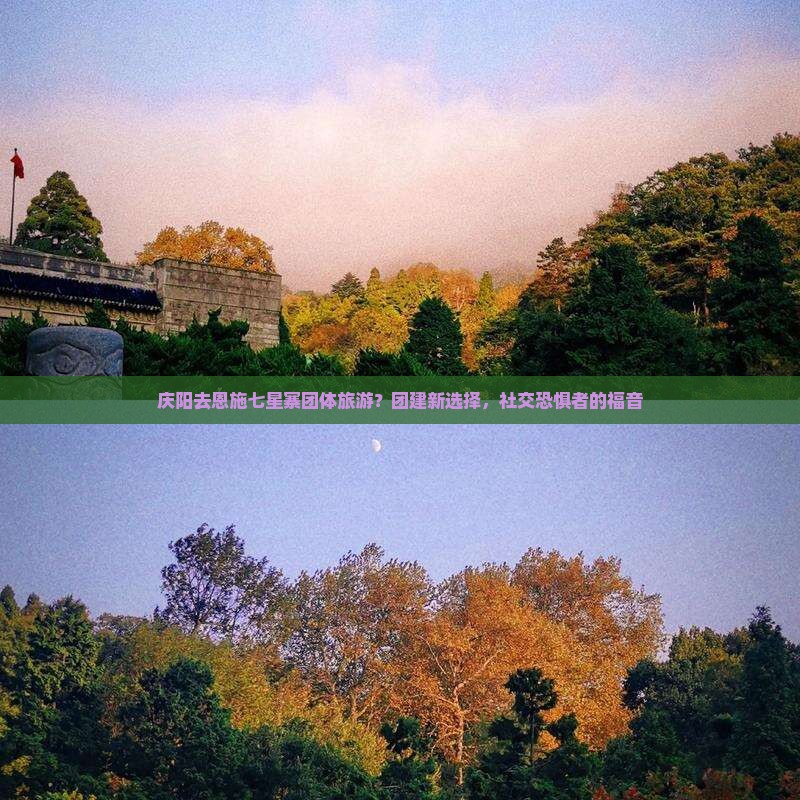 庆阳去恩施七星寨团体旅游？团建新选择，社交恐惧者的福音