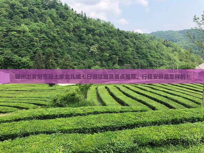 锦州出发到恩施土家女儿城七日游攻略及景点推荐，行程安排是怎样的？