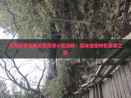 五月到恩施腾龙洞旅游小吃攻略：品味当地特色美食之旅