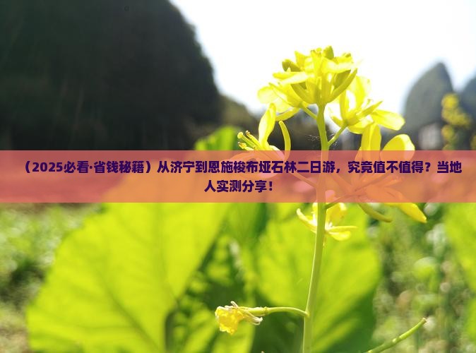 济宁去恩施梭布垭石林二日游