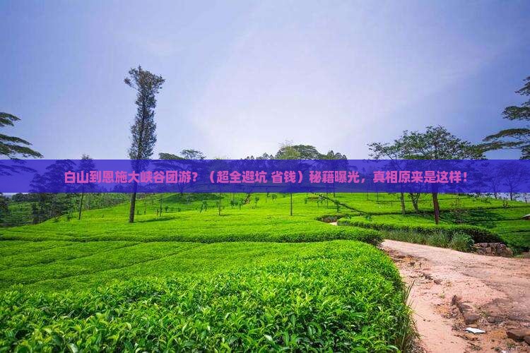 白山去恩施大峡谷团体旅游