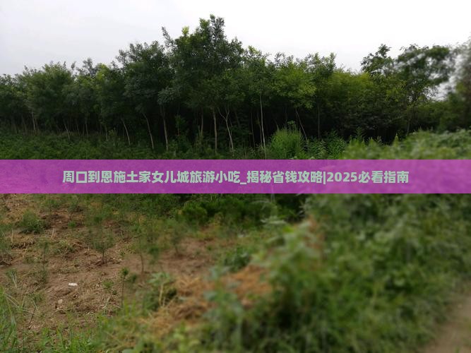 周口到恩施土家女儿城旅游小吃
