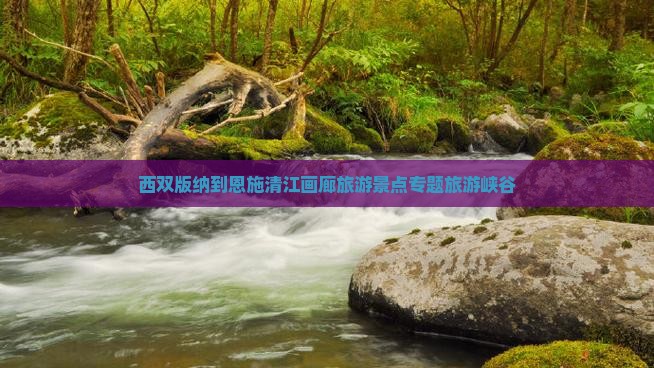 西双版纳到恩施清江画廊自由团