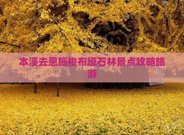 本溪去恩施梭布垭石林景点