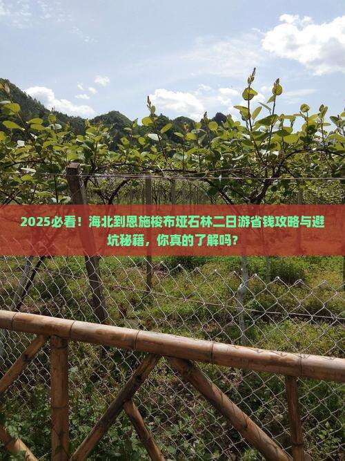 海北到恩施梭布垭石林二日游