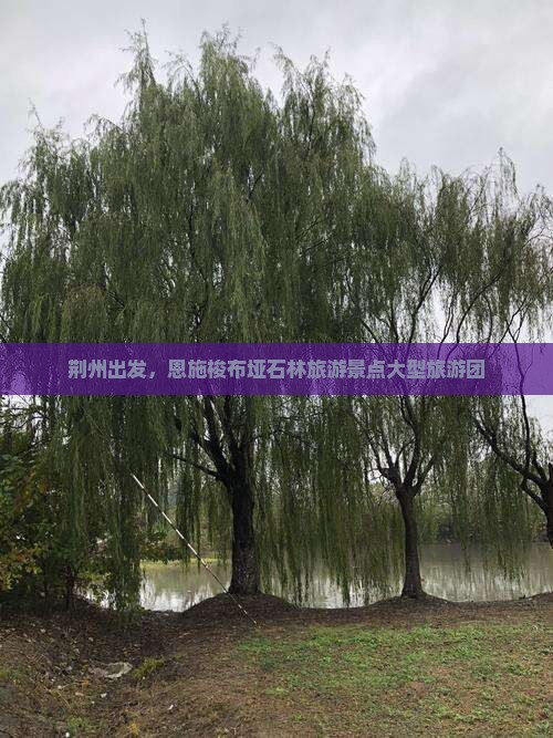 荆州去恩施梭布垭石林大型旅游团