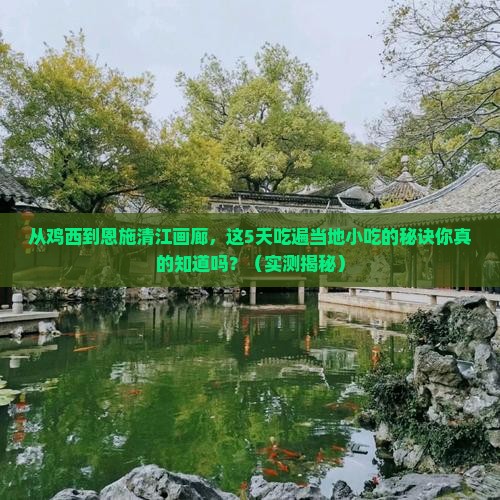 鸡西到恩施清江画廊旅游小吃