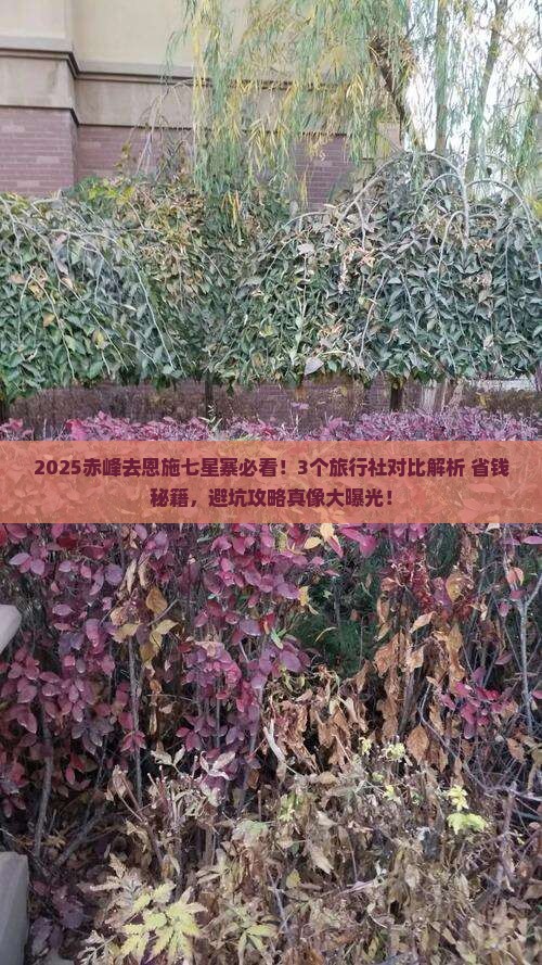 赤峰去恩施七星寨旅行社