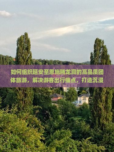 如何组织延安至恩施腾龙洞的高品质团体旅游，解决游客出行痛点，打造沉浸式体验之旅？