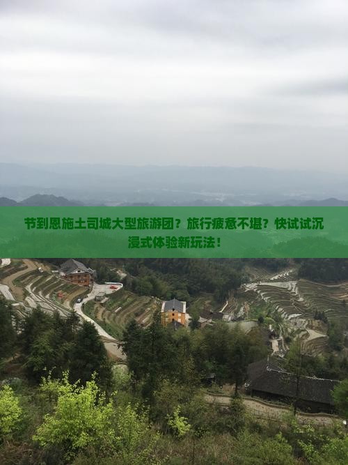 节到恩施土司城大型旅游团？旅行疲惫不堪？快试试沉浸式体验新玩法！