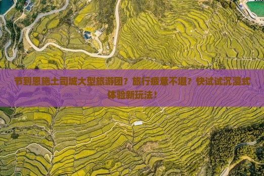 节到恩施土司城大型旅游团？旅行疲惫不堪？快试试沉浸式体验新玩法！