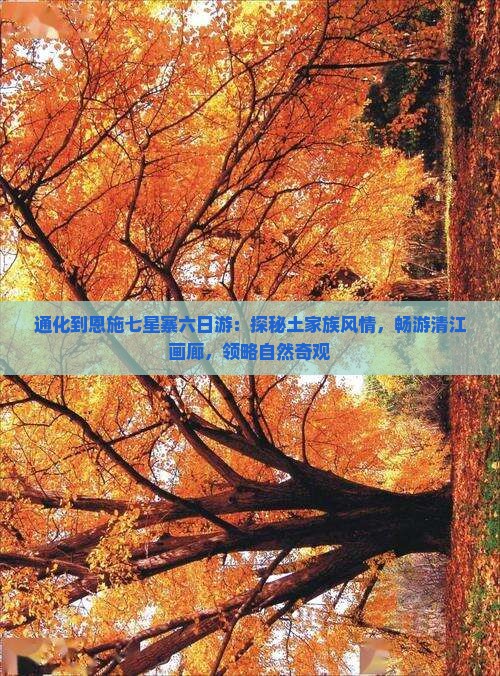 通化到恩施七星寨六日游：探秘土家族风情，畅游清江画廊，领略自然奇观