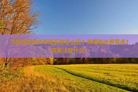 河源去恩施梭布垭石林怎么玩？有哪些必看景点？需要注意什么？