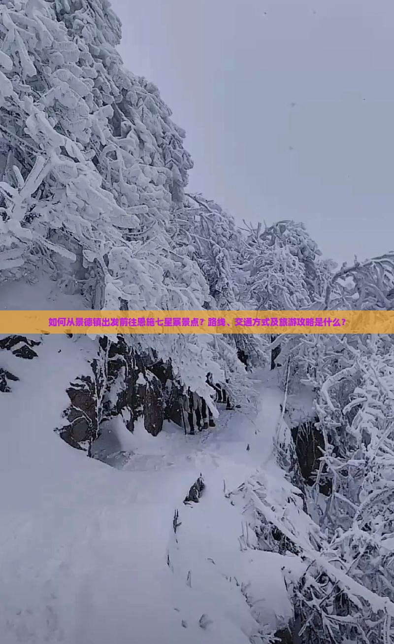 如何从景德镇出发前往恩施七星寨景点？路线、交通方式及旅游攻略是什么？