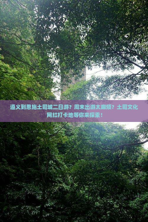 遵义到恩施土司城二日游？周末出游太麻烦？土司文化+网红打卡地等你来探索！
