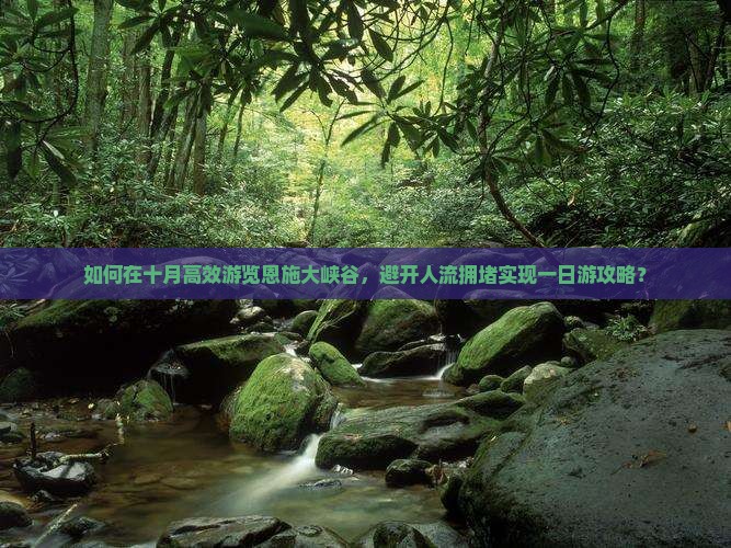 如何在十月高效游览恩施大峡谷，避开人流拥堵实现一日游攻略？
