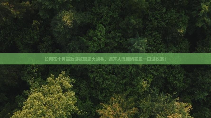 如何在十月高效游览恩施大峡谷，避开人流拥堵实现一日游攻略？