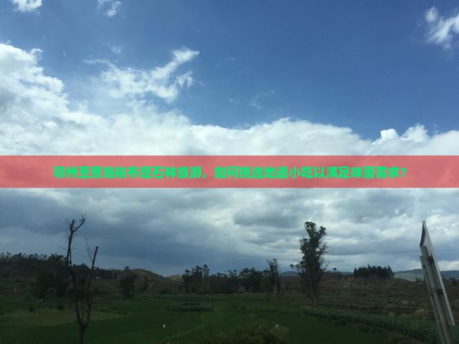 鄂州至恩施梭布垭石林旅游，如何挑选地道小吃以满足味蕾需求？