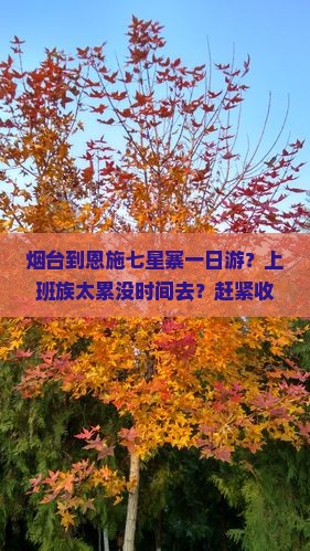 烟台到恩施七星寨一日游？上班族太累没时间去？赶紧收藏轻旅行