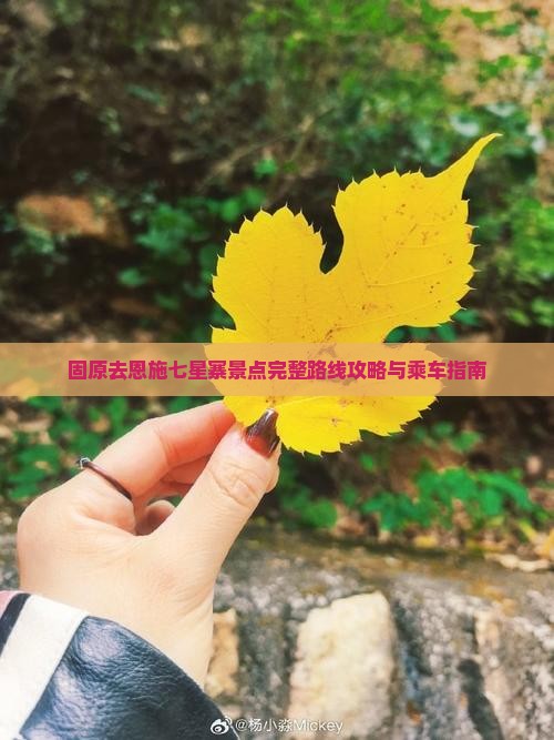 固原去恩施七星寨景点完整路线攻略与乘车指南