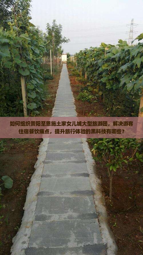 如何组织贵阳至恩施土家女儿城大型旅游团，解决游客住宿餐饮痛点，提升旅行体验的黑科技有哪些？