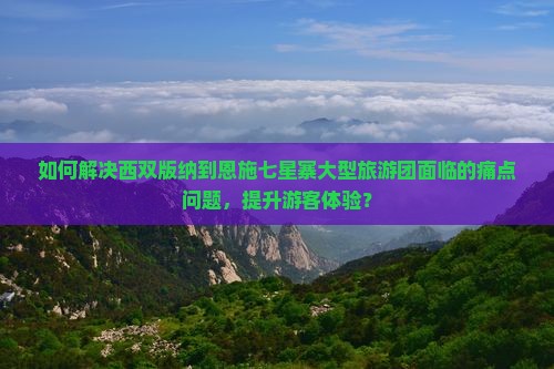 如何解决西双版纳到恩施七星寨大型旅游团面临的痛点问题，提升游客体验？