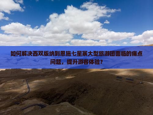 如何解决西双版纳到恩施七星寨大型旅游团面临的痛点问题，提升游客体验？