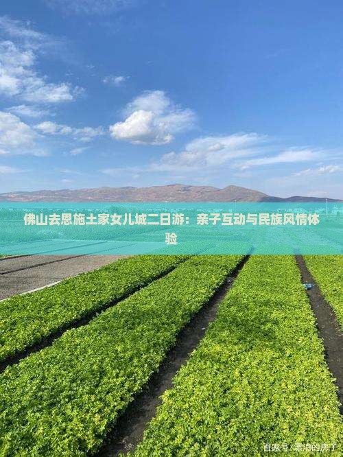 佛山去恩施土家女儿城二日游：亲子互动与民族风情体验
