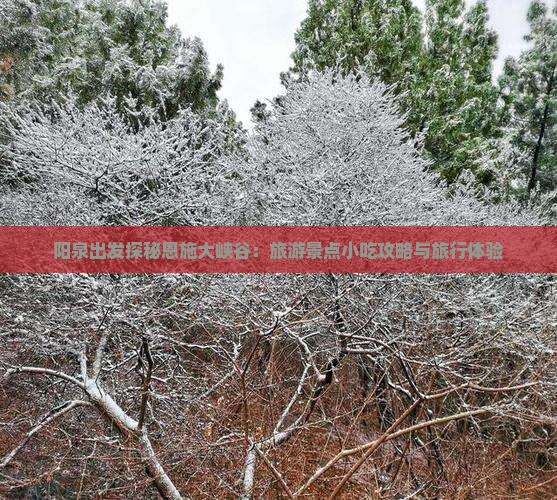 阳泉出发探秘恩施大峡谷：旅游景点小吃攻略与旅行体验
