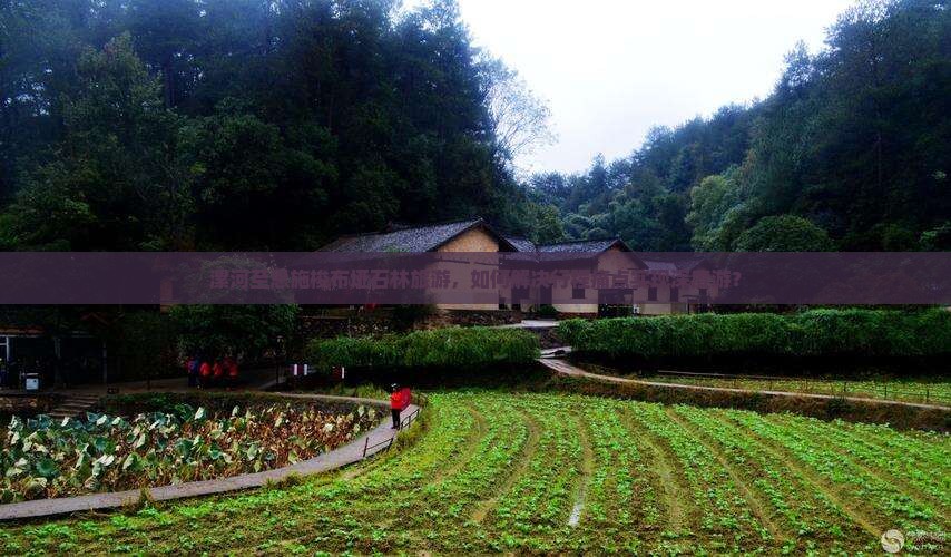 漯河至恩施梭布垭石林旅游，如何解决行程痛点实现深度游？